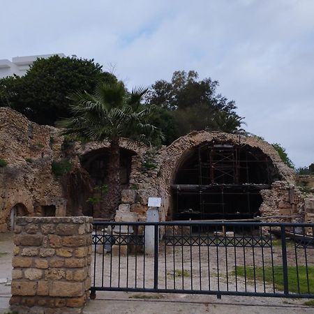 Appartement A Carthage Byrsa Zewnętrze zdjęcie