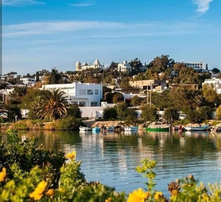 Appartement A Carthage Byrsa Zewnętrze zdjęcie
