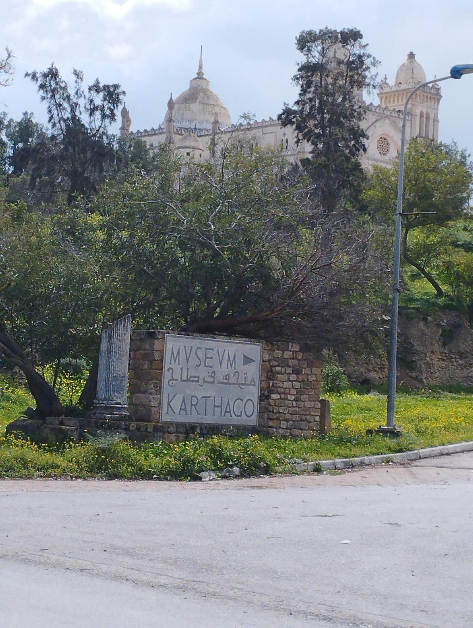 Appartement A Carthage Byrsa Zewnętrze zdjęcie