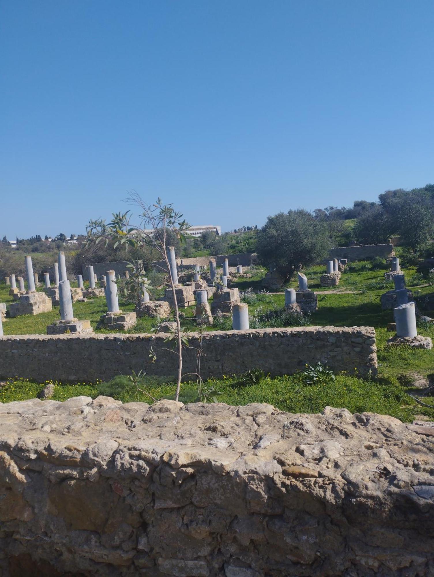Appartement A Carthage Byrsa Zewnętrze zdjęcie